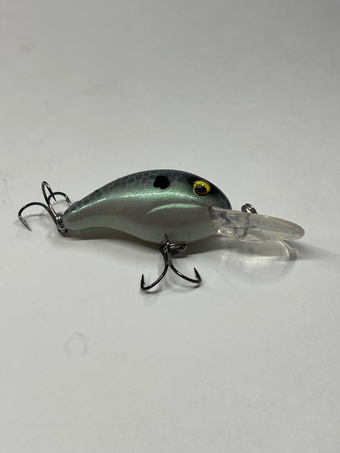 Custom Painted Bandit 200 (1 of 1)