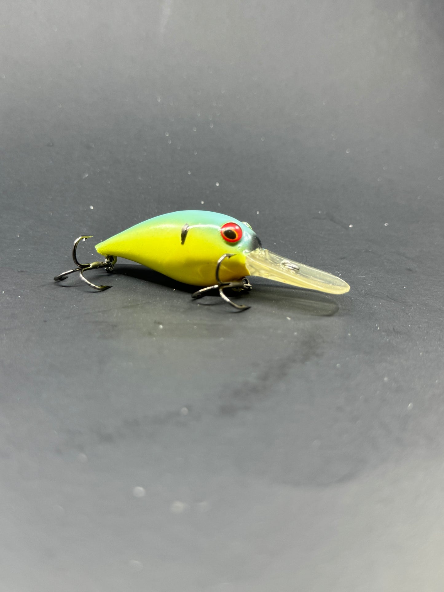 Custom Painted Wiggle Wart Crankbait