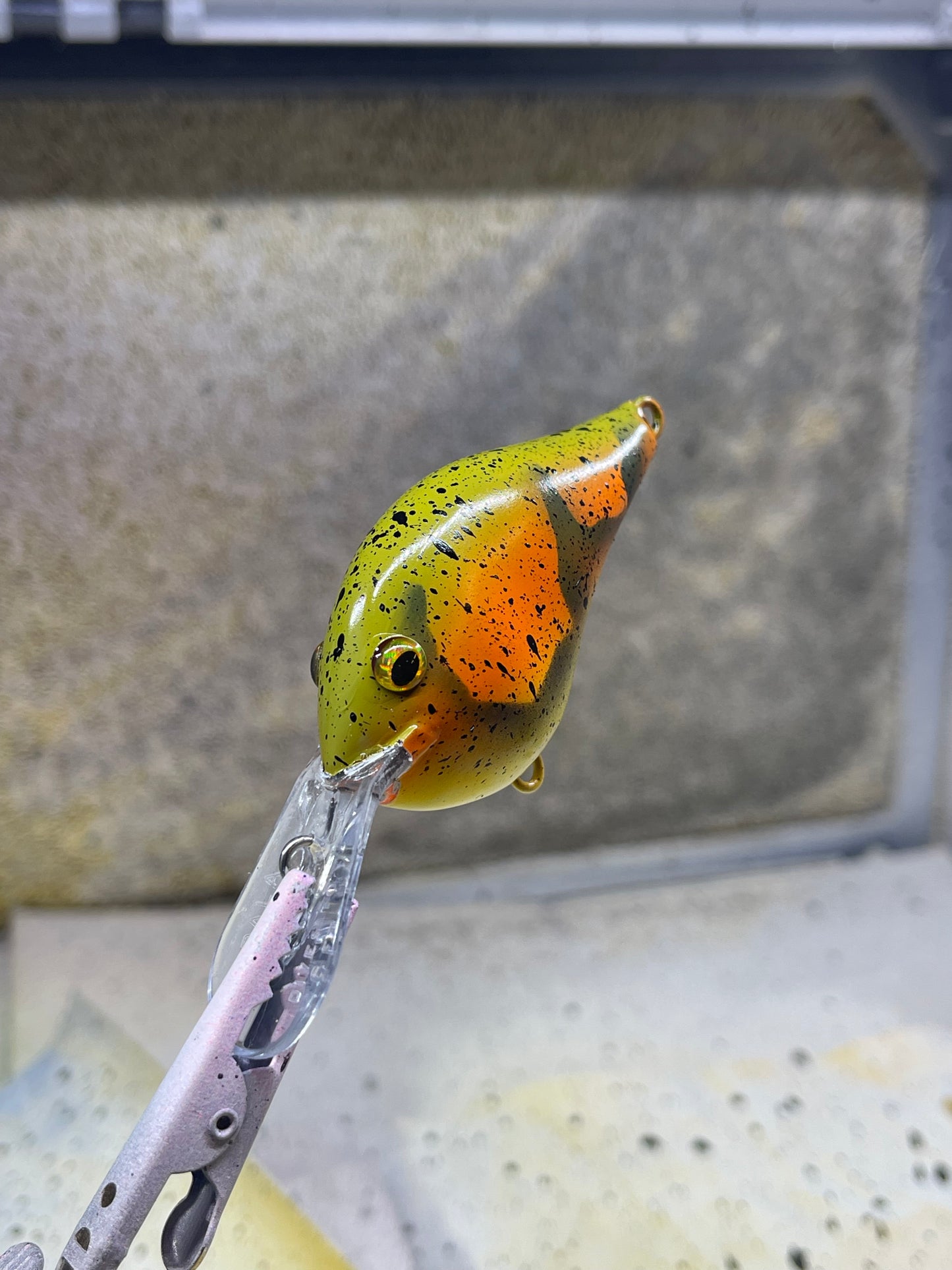 Custom Painted Rapala DT 6 Mater Craw