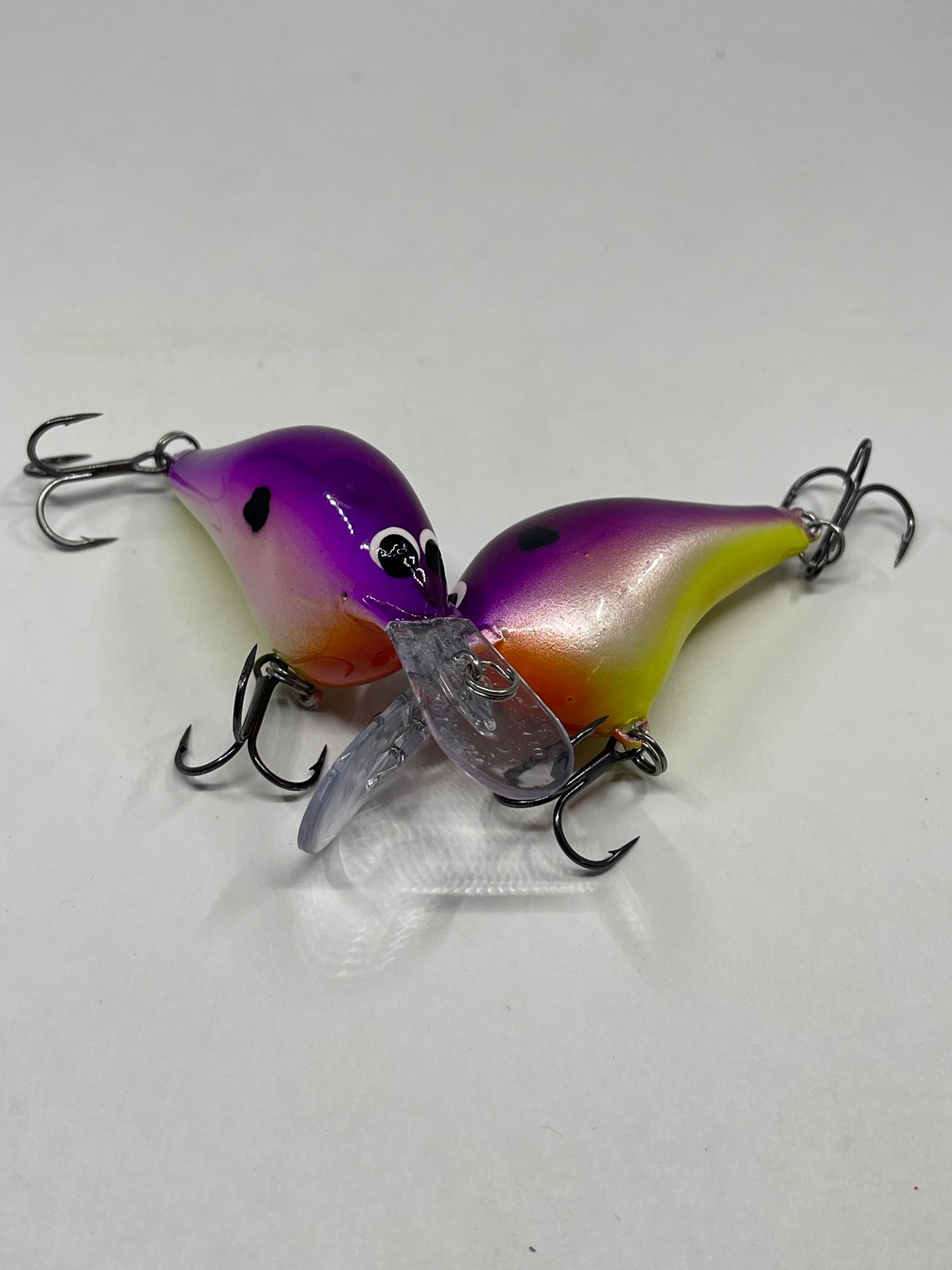Custom Painted Rapala DT 6 Royal Shad