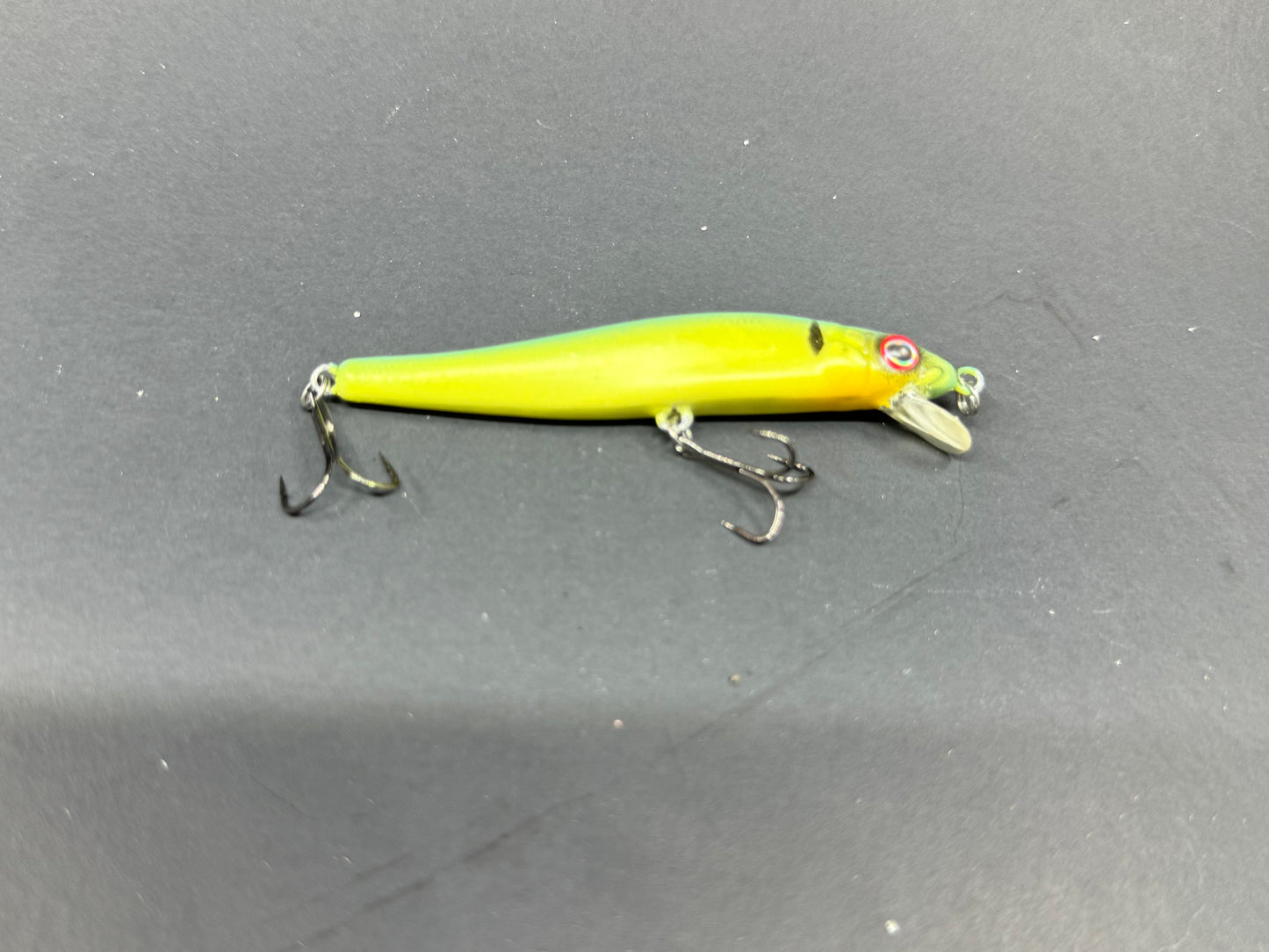 Custom Painted Tiny Vision 110