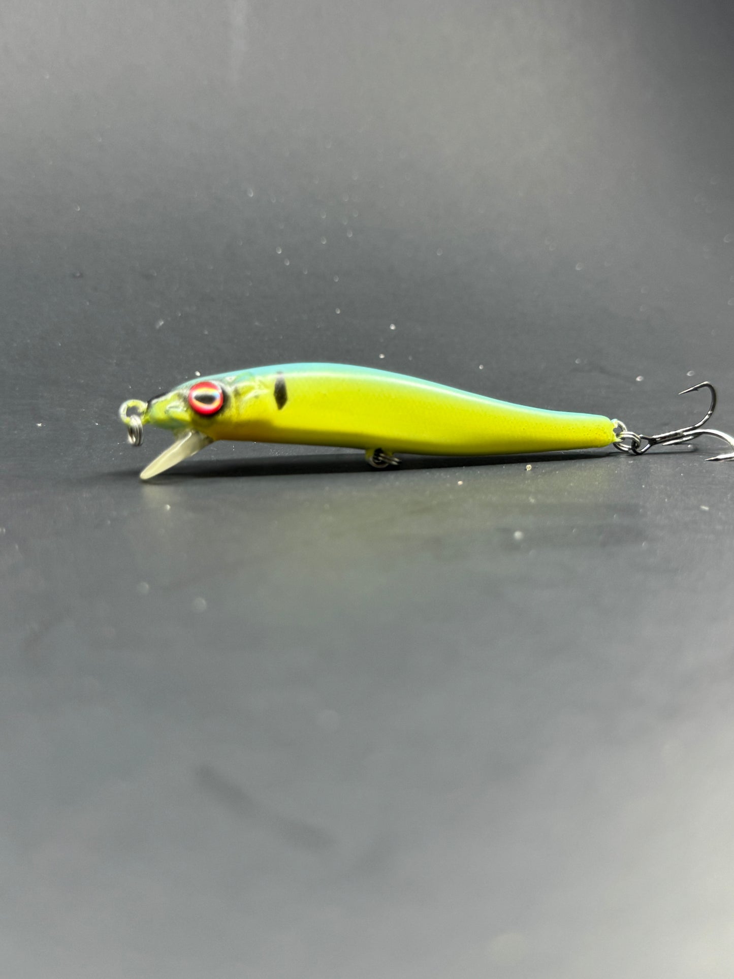 Custom Painted Tiny Vision 110