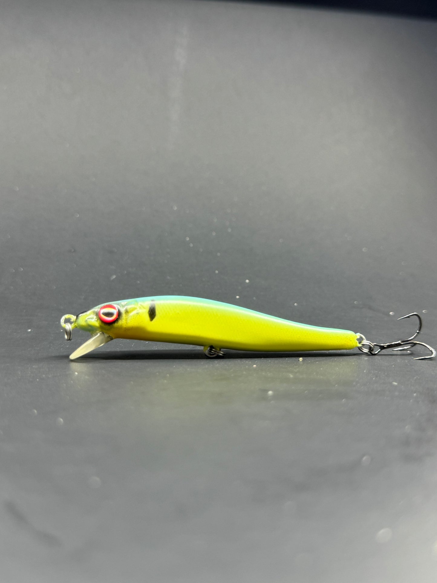 Custom Painted Tiny Vision 110