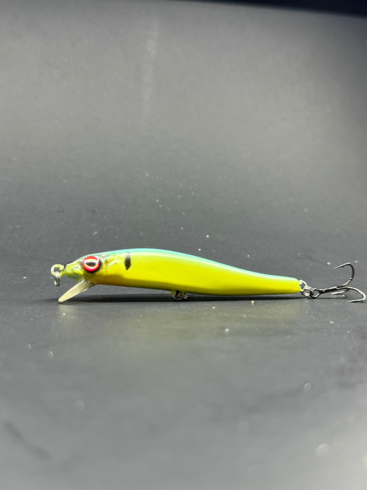 Custom Painted Tiny Vision 110