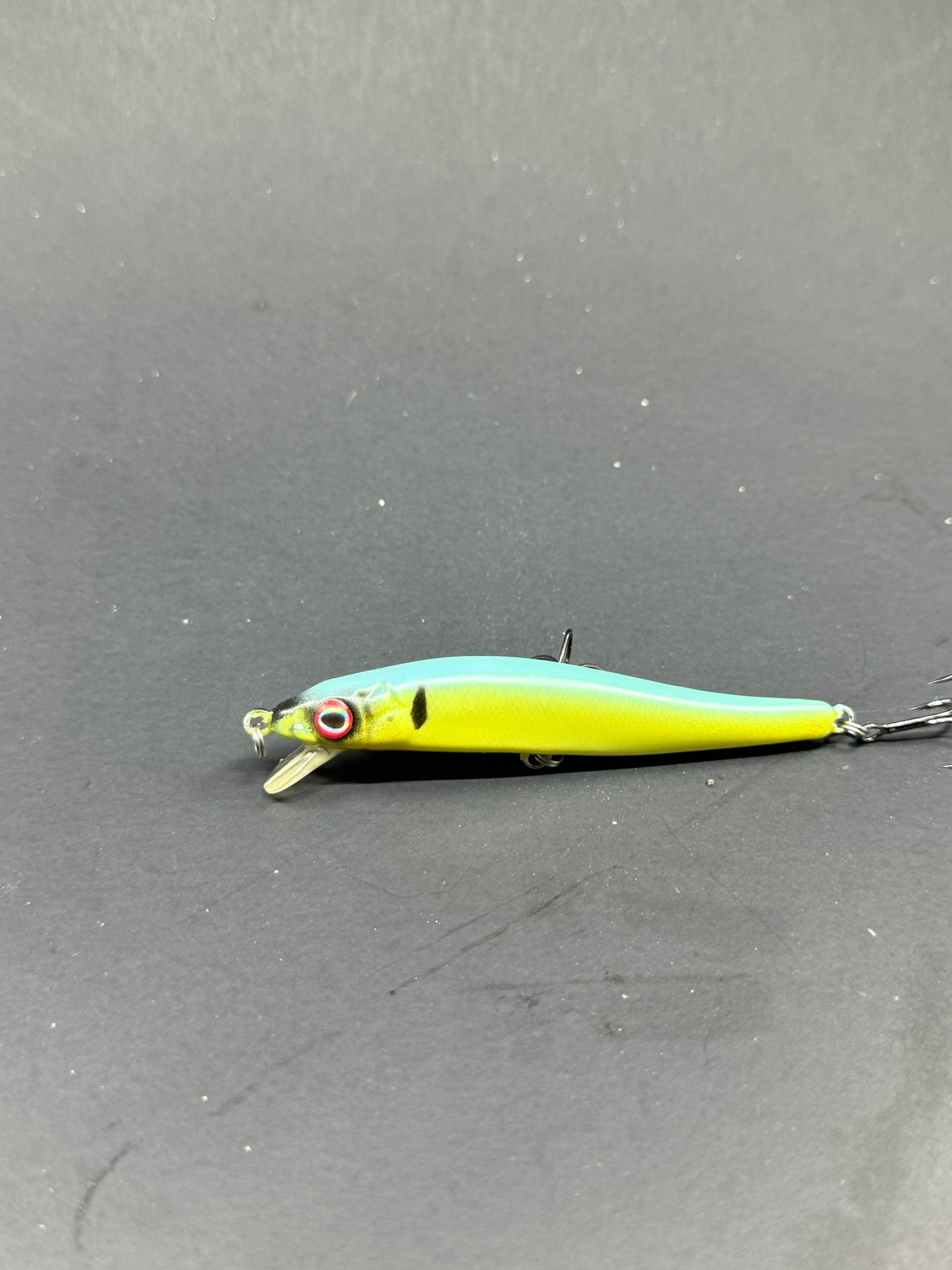 Custom Painted Tiny Vision 110