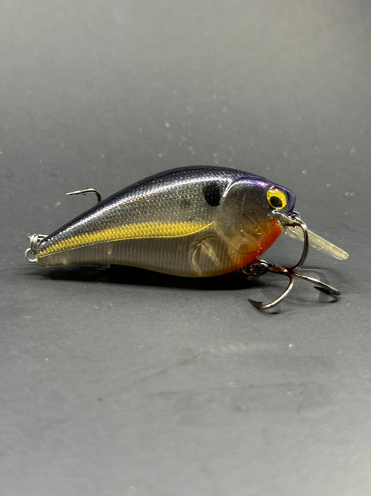 Custom Painted Lucky Craft RC 2.5 Square Bill