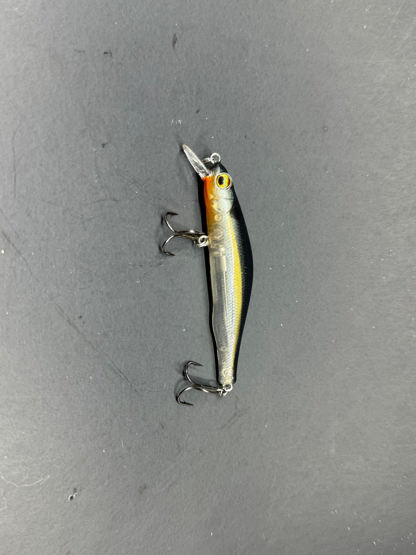 Custom Painted Megabass Darter 80X