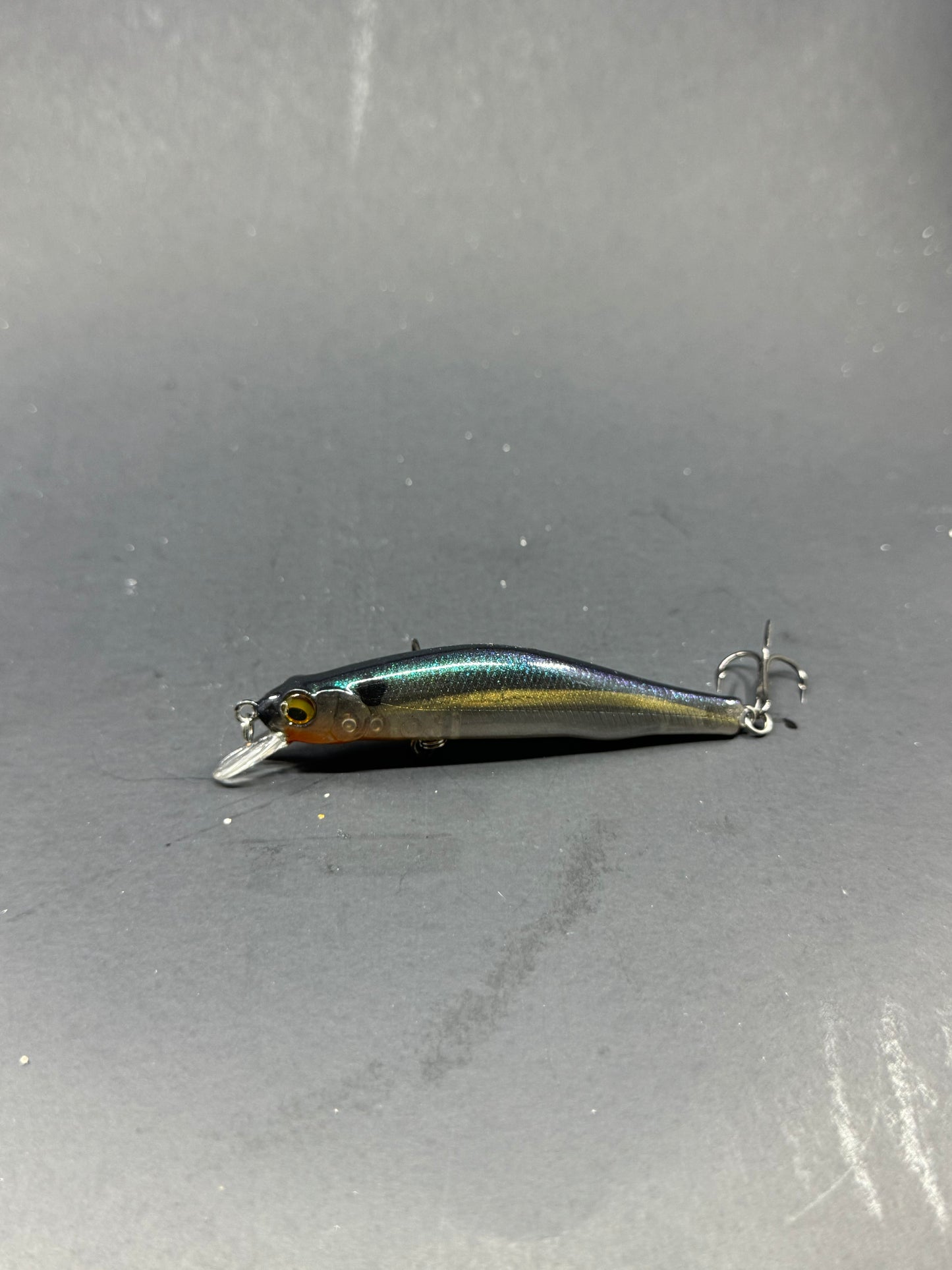 Custom Painted Megabass Darter 80X