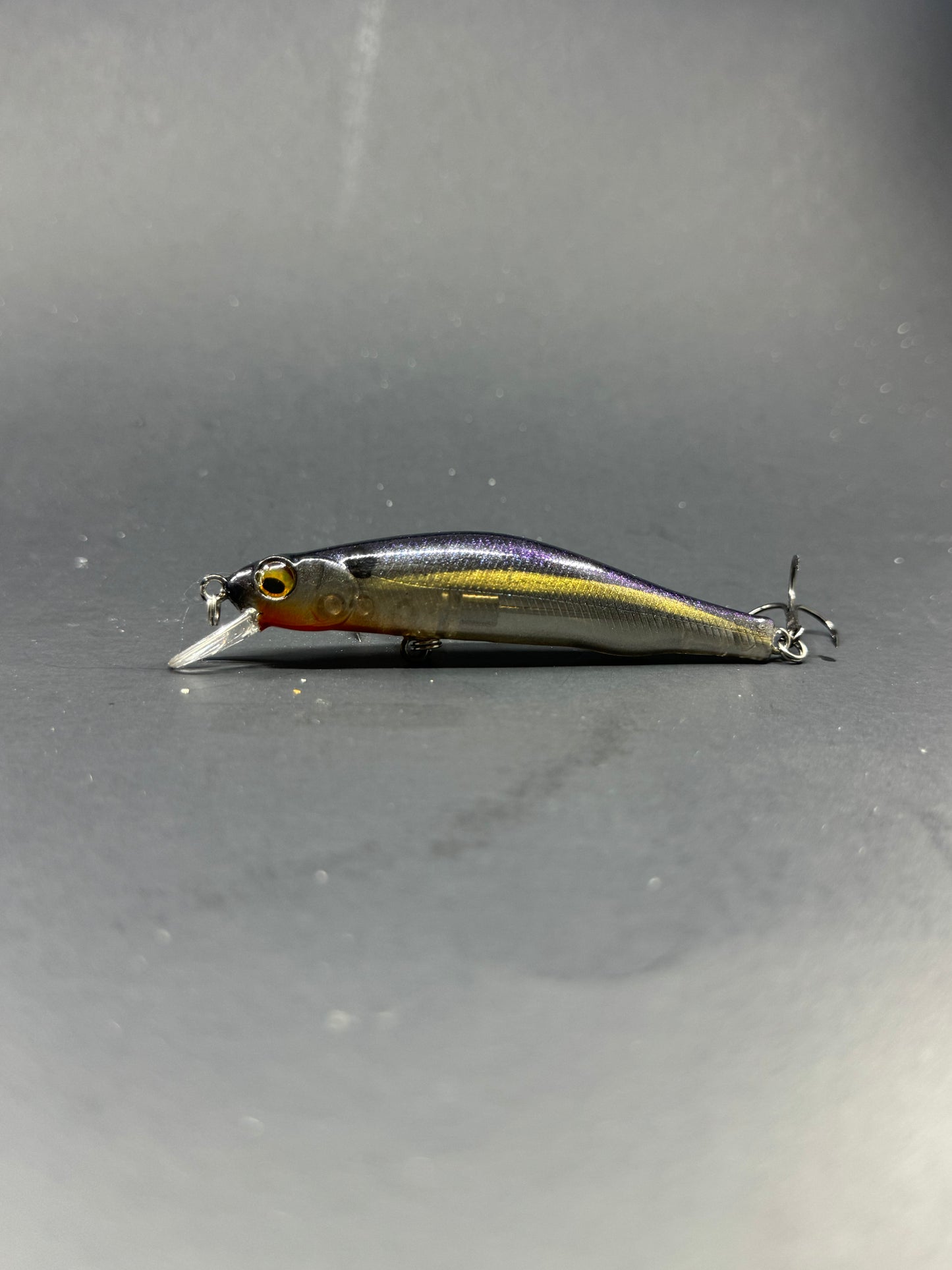 Custom Painted Megabass Darter 80X