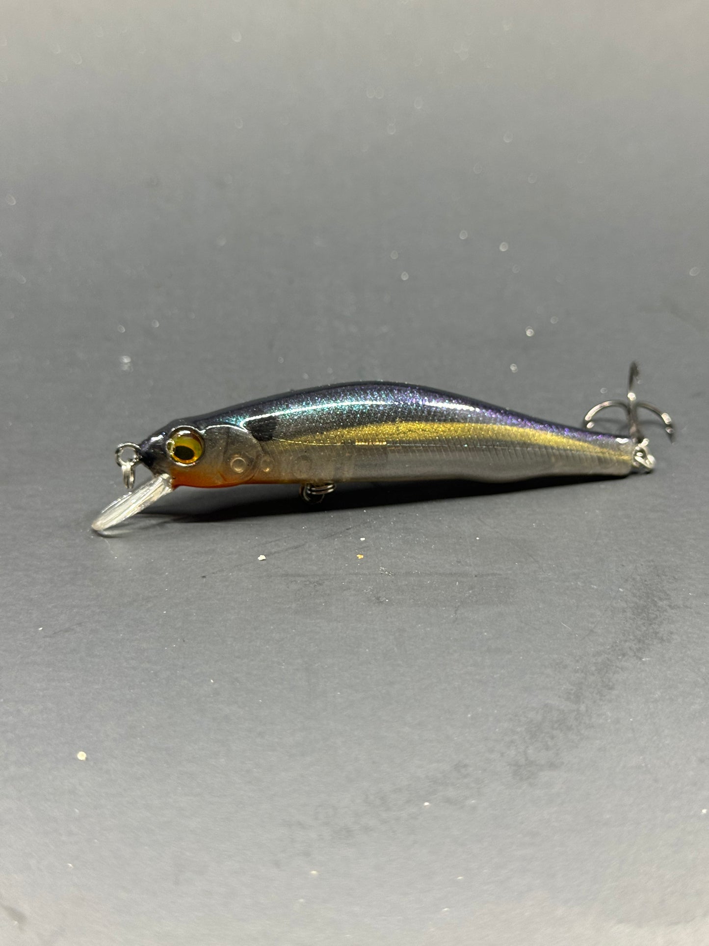 Custom Painted Megabass Darter 80X