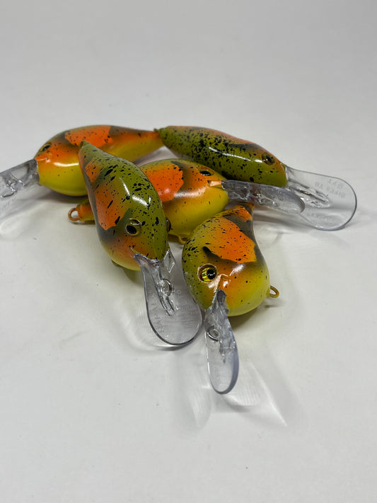 Custom Painted Rapala DT 6 Mater Craw